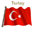 IMAG0001.gif (35814 bytes)